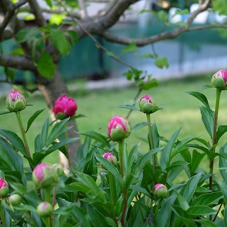Aria Di Casa B&B Cantù Dış mekan fotoğraf