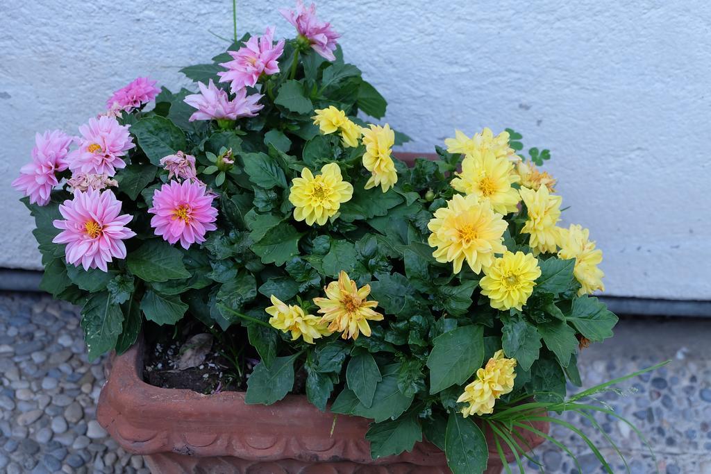 Aria Di Casa B&B Cantù Dış mekan fotoğraf